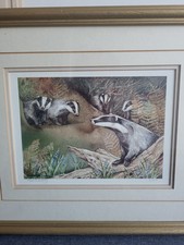 Ann Blockley Watercolour