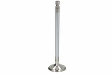 For GERMANY 09 0520 ISB601 Exhaust valve OE REPLACEMENT