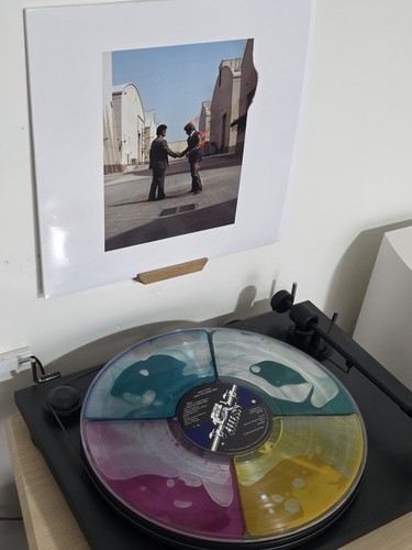 Pink floyd wish you were - pink,