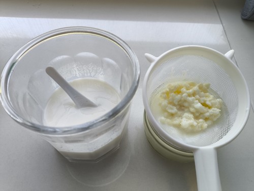 Live culture milk kefir grains - culture,
