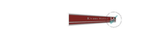 Evans halshaw rover - evans,