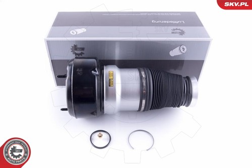 For skv germany - germany, 58skv038