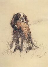 Cecil Aldin Springer Spaniel Dog Print, Gundog A Dozen Dogs or So