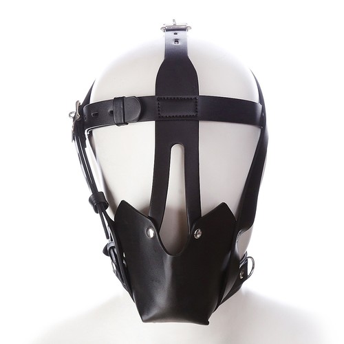 Headgear harness with mouth - ,