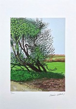 DAVID HOCKNEY - The Arrival of