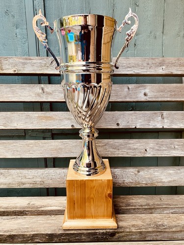 Big huge silver - 🏆, trophy