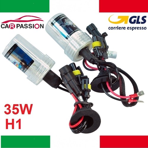 Pair xenon bulb - pair,