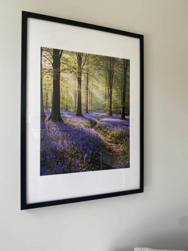 Winstercreations bluebell - winstercreations,