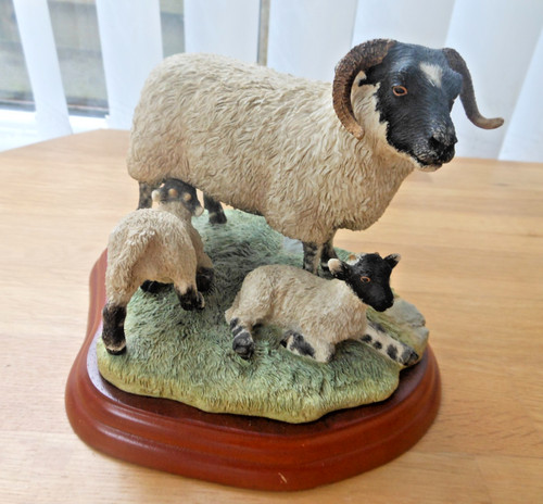 Border fine arts sheep - border,