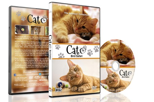 Cat dvd for cats watch - tv,
