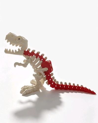 Keleton rex fully - t-rex, |