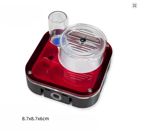 Ant colony starter - ant,