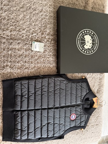 Canada goose black hybridge - canada,