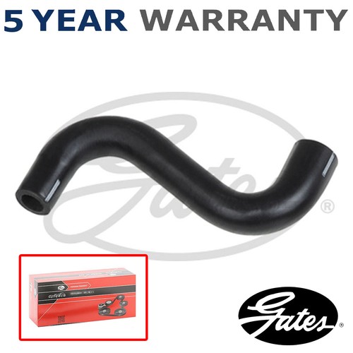 Hose - (engine,