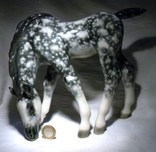 RUSSIAN  LOMONOSOV  ROCKING