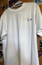 Kaws X Andy Warhol Blue Figure