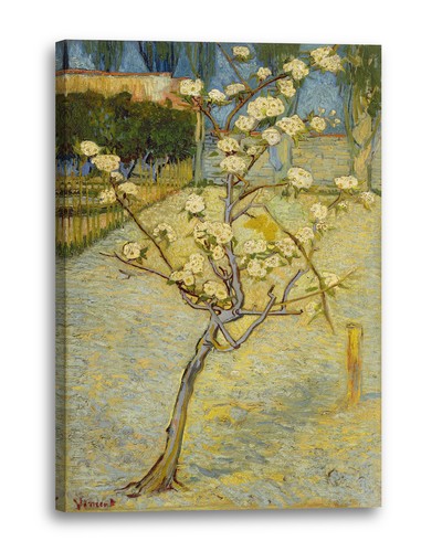 Canvas frames vincent van gogh - canvas/frames,