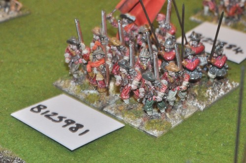 28mm ecw parliament - parliament, pike