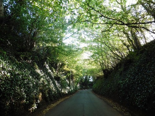 Photo 6x4 king road - king,