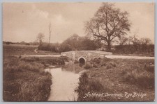 ASHTEAD Common, Rye Bridge