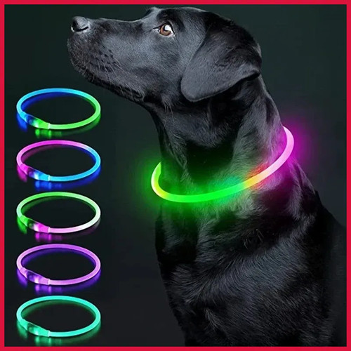 Flashing led light dog - flashing,