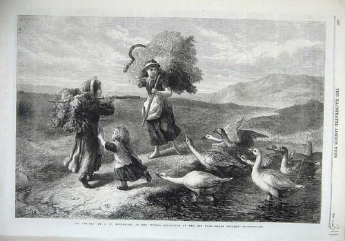 Original old antique print - old,