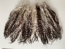 50gm WENSLEYDALE Long LOCKS