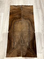 Burr Walnut - 2 NATURAL WOOD Sheets - Marquetry- 2 @ 600mm x 145mm each - (173)