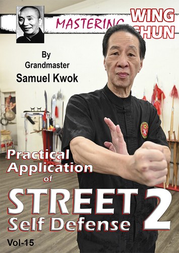 Mastering wing chun vol - mastering,