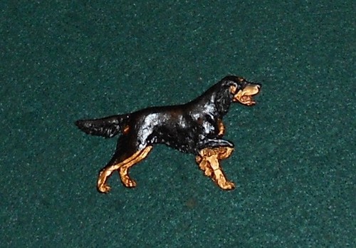 Gordon setter dog breed show - gordon,