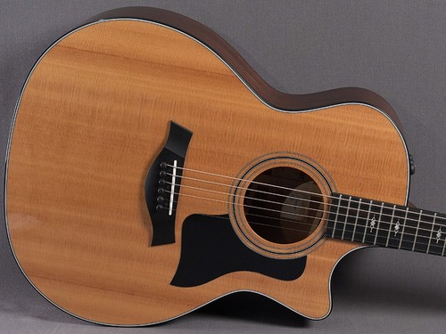 Taylor 314ce showroom - -,