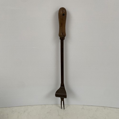 Weeder garden tool - weeder, dandelion