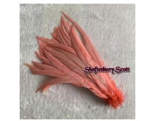 Ex Long Rooster Feathers