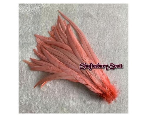 Long rooster feathers - long,