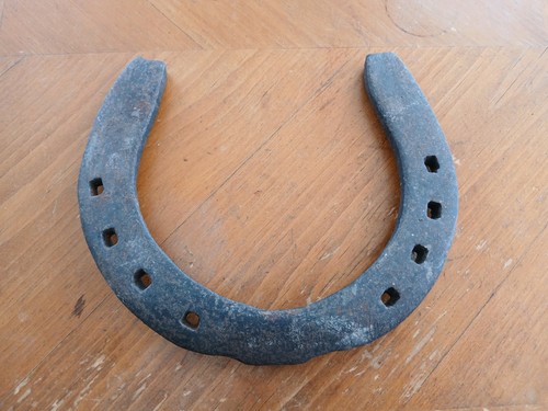 Used shire horse - 1, x