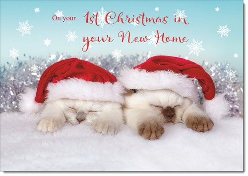 Doodlecards 1st christmas - doodlecards,