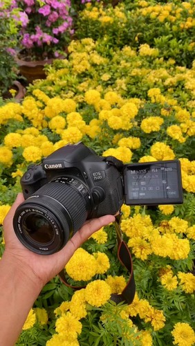 Canon 750d dslr - canon,