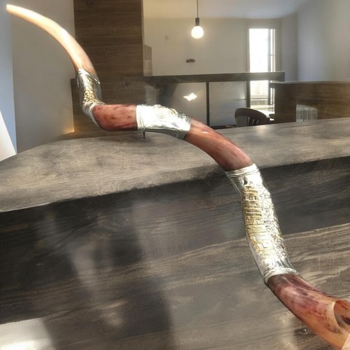 Yemenite kudu horn shofar - horn,