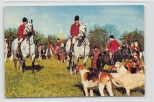 BUNTINGFORD - hunting hounds