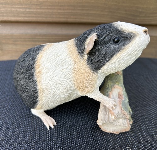 Sherratt simpson guinea pig - sherratt,