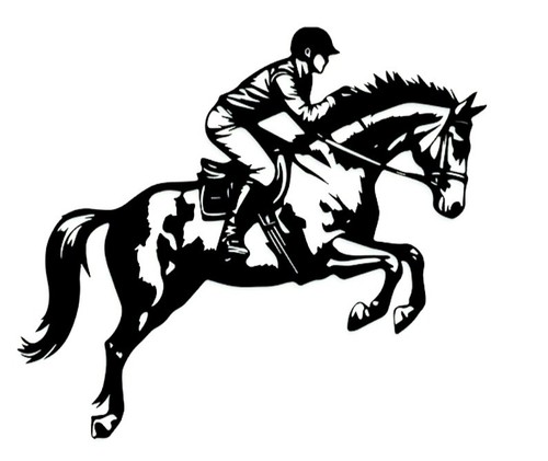 Large 23x20h black horse box - horse,