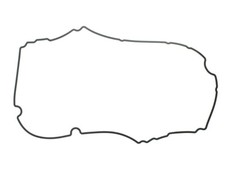 Timing gear cover gasket fits