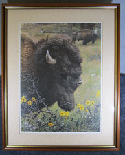 Lovely Large Vintage Carl Brenders Signed Limited Edition Print Buffalo / Bison