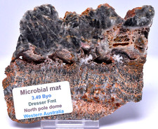 MICROBIAL MAT, Dresser Fmt