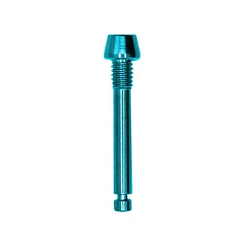 Sram titanium disc - titanium, brake