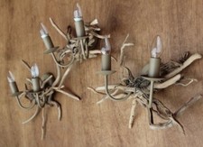 Driftwood wall light Drift
