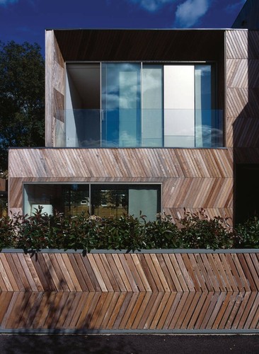 Siberian larch cladding - larch,