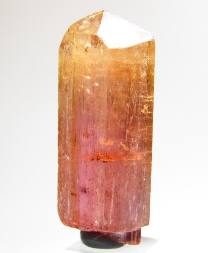 Incomparable beauty gem - beauty,