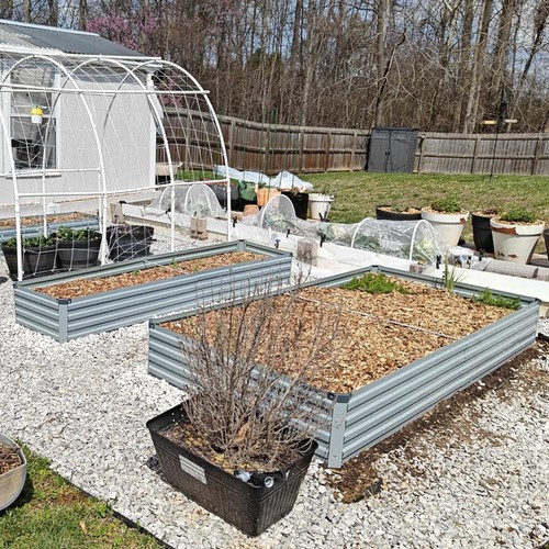 Garden metal raised vegetable - raised,