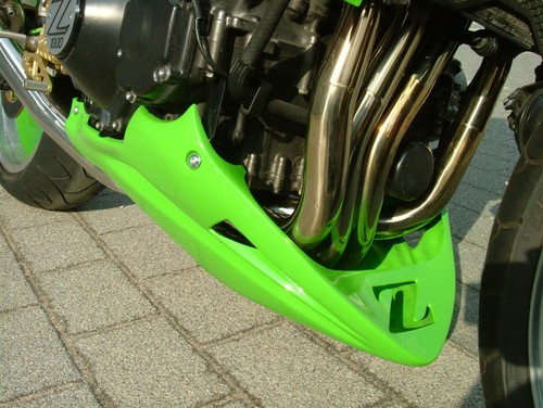 Bug spoiler z1000 06 - bug,